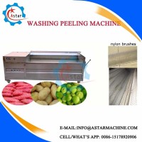 Export to Europe Brush Roller Potato Washer and Peeler