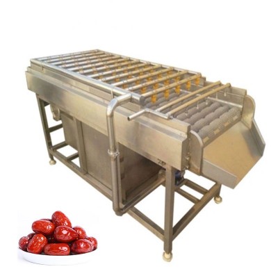 Good Quality Dates brush washing and processing machine with CE