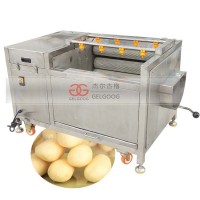 Industrial 800mm Brush Roller Carrot Potato Washing and Peeling Machine